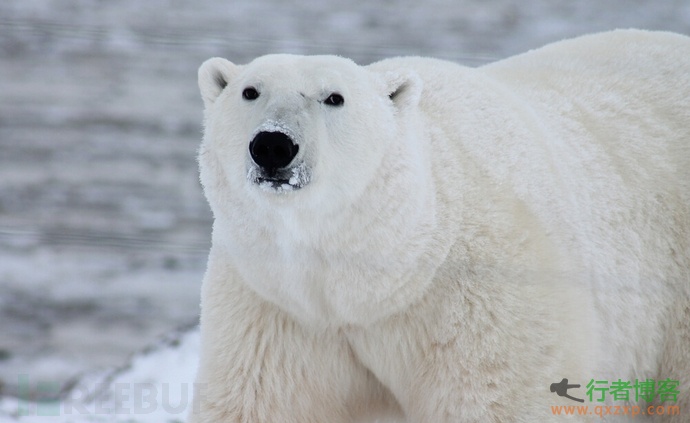  Polar bear scanner 3.5 adds super search, cloud platform supports online installation and configuration and other functions