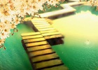 完美解决wordpress4.0中文标签404问题